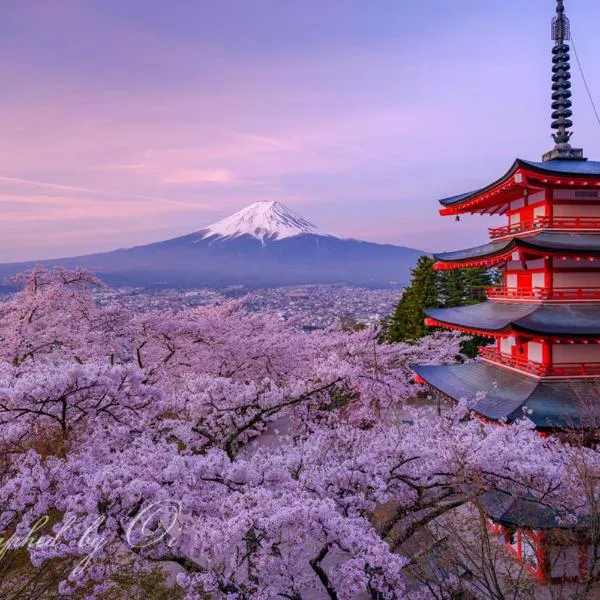 インザ富士, hotel en Fujiyoshida