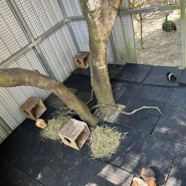 拇指園民宿 โรงแรมในGuanxi