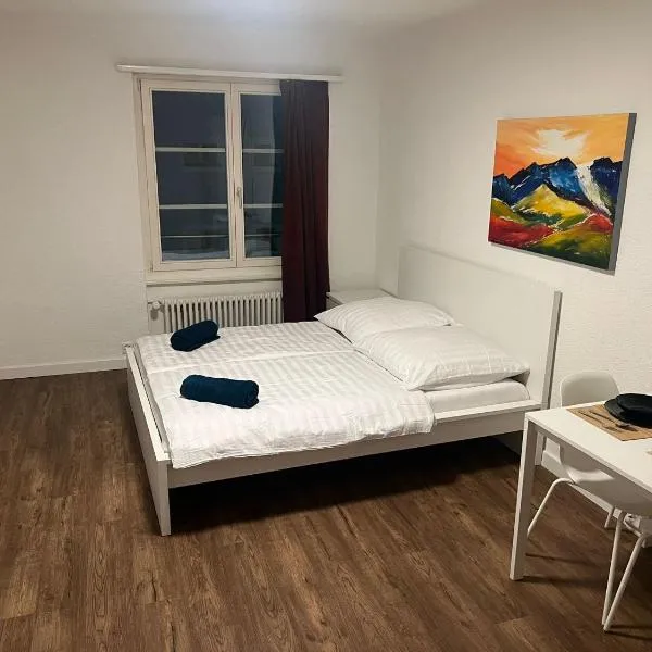 Central Living Brugg - Studio 11, hotell i Brugg