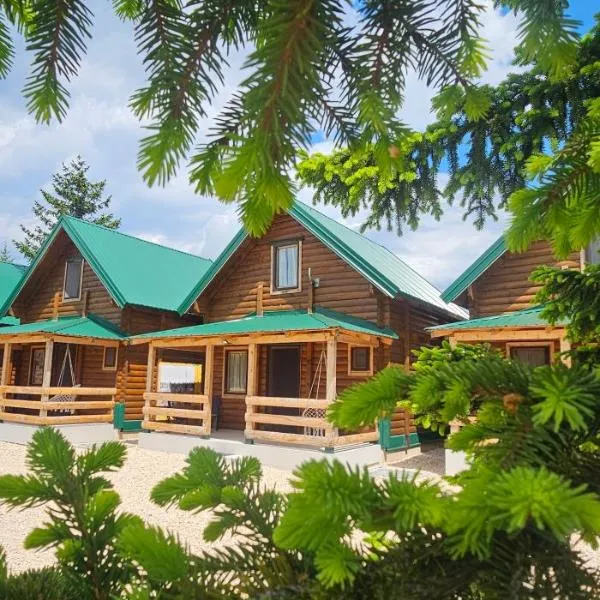 Green Top Durmitor, viešbutis Žabliake