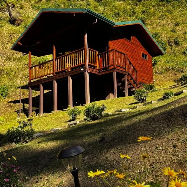 Entre Árboles Lodge, hotel en San Gerardo de Dota