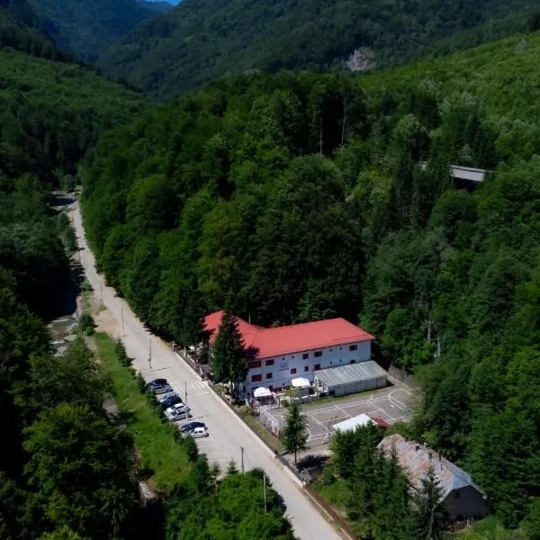 Hotel Gâlma، فندق في مورويني