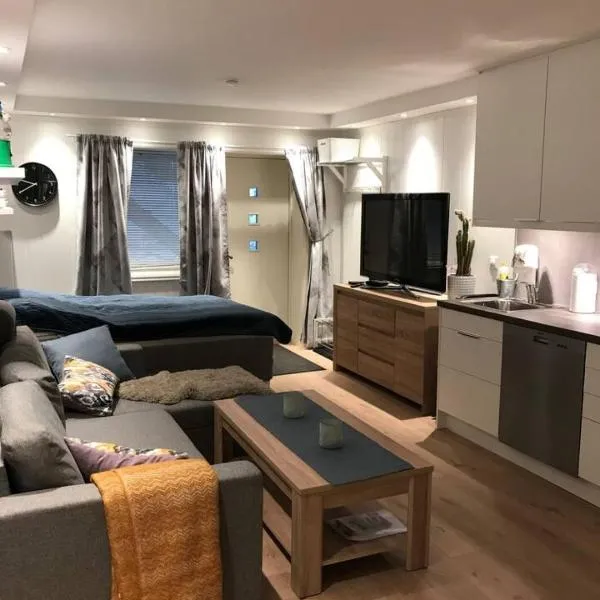 Koselig og praktisk studioleilighet, hotel i Svolvær