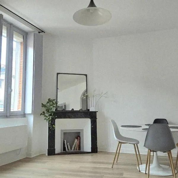 Viesnīca Hypercentre Capitole T2 vaste et lumineux Tulūzā