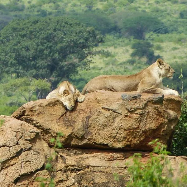 Tausa Tsavo Eco Lodge, hotel v destinaci Voi