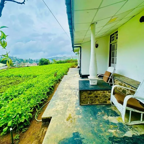 Viesnīca Silver Meir Villa pilsētā Nuvara Elija