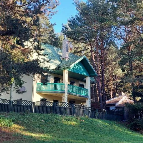 Žalioji vila, Hotel in Varteliai