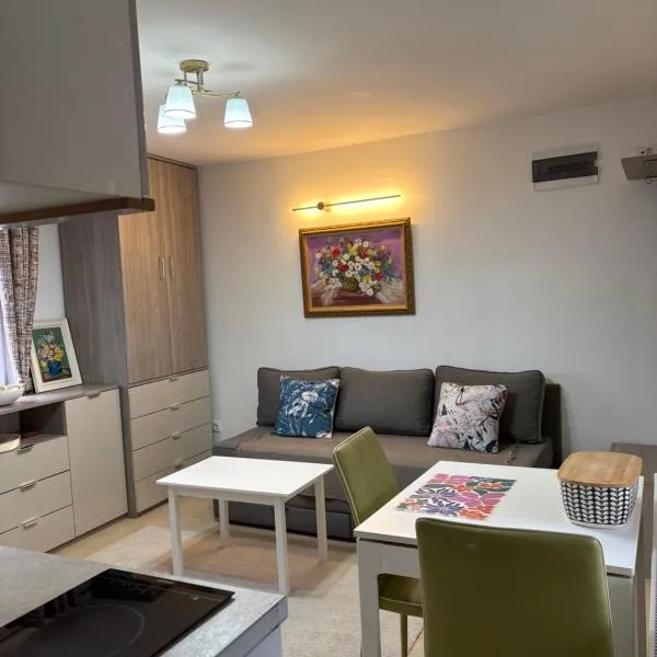 Apartman Lala, מלון בנובה וארוש