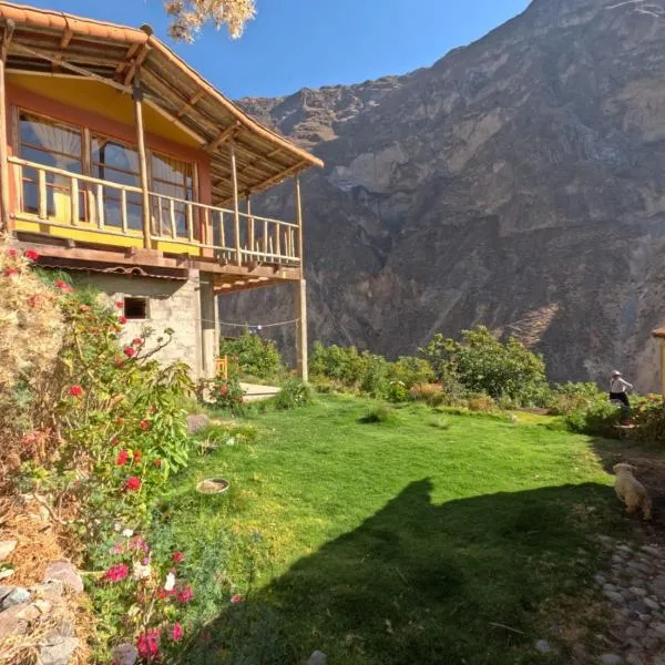 La Casa de Roy, Hotel in Cosnihua