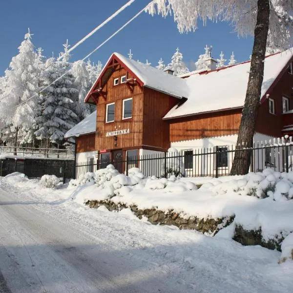 Śnieżynka Spa, hotel ve Sklářské Porubě