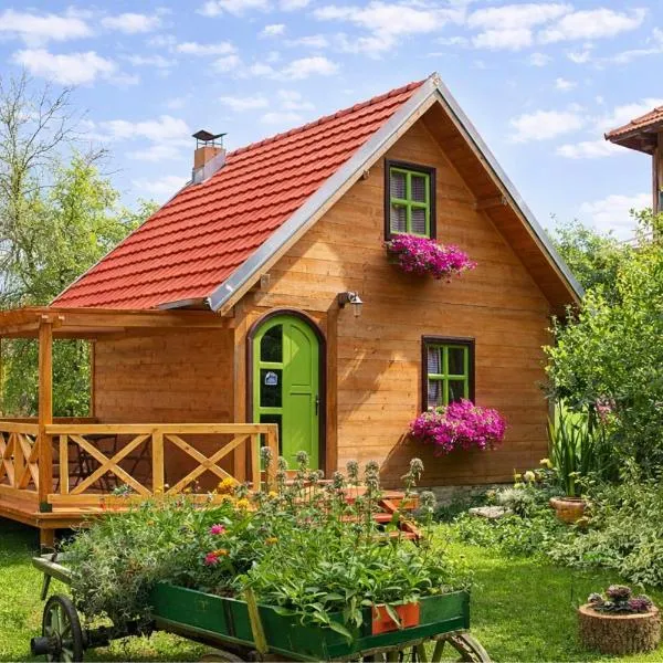 Apartments Vila Selena - Golija, hotel in Rudno