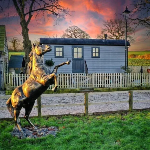 Owls Retreat, Meadowview House, hotel a Stoke on Trent