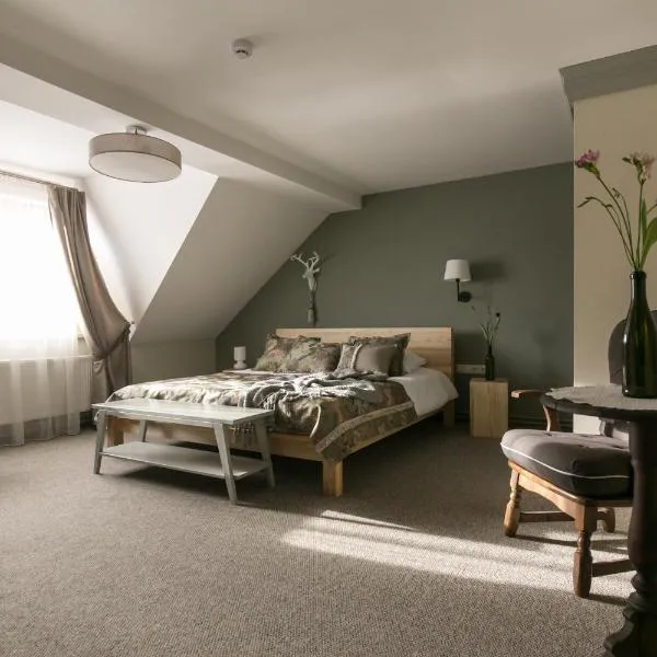 Guest House Mazais Ansis, Hotel in Rubene