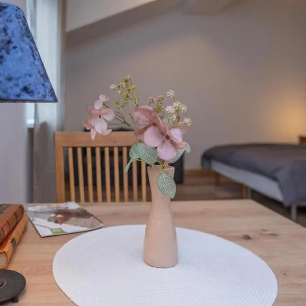 Velora apartments, hotel di Subotica