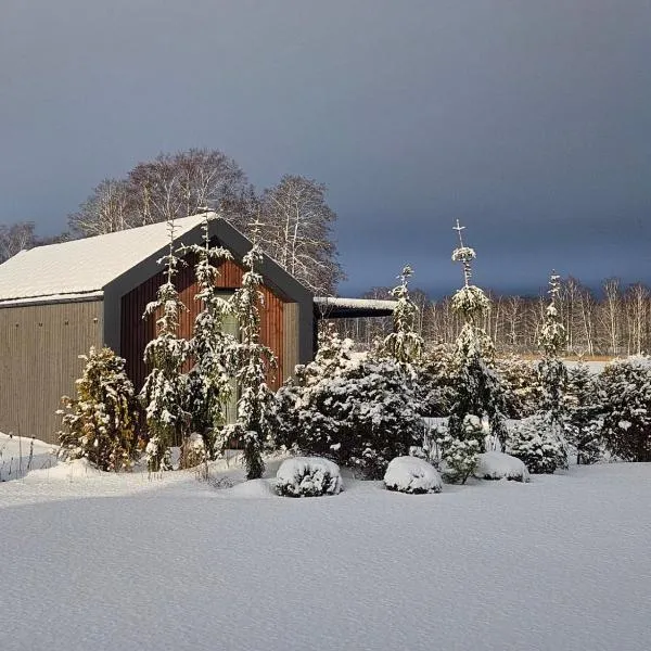 Berzkrasti Lake House with Private Sauna & Beach, hotel a Sigulda