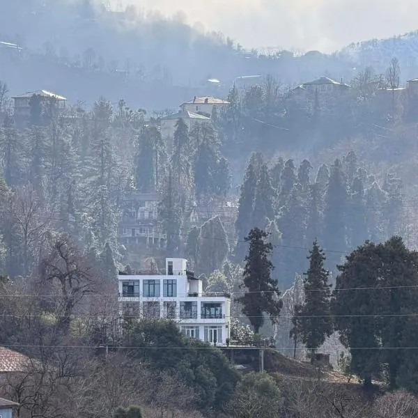 Veranda White House, Hotel in Batumi