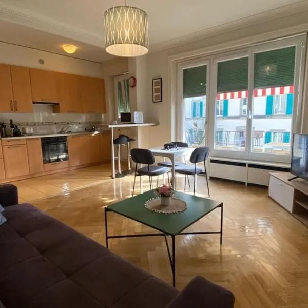 Large Apartment 7 minutes walking to Train station, hotel v destinácii Lausanne