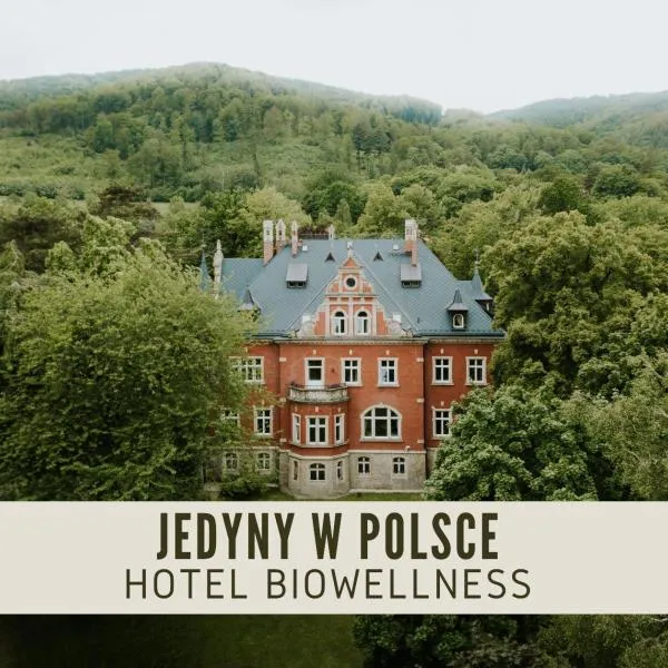 Hotel Dębowy Biowellness & SPA Góry Sowie, hotel u gradu Bjelava