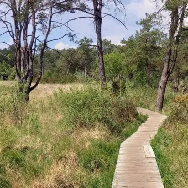 Un morceau de terrain pour ta tente, hotel a Paimpont
