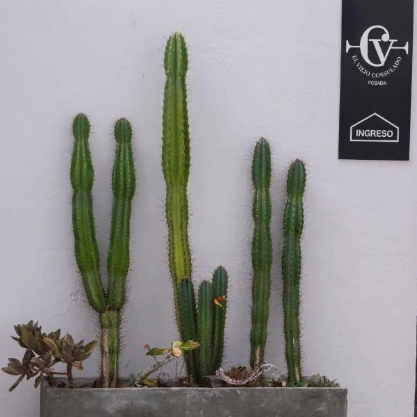 Colonia del Sacramento में, होटल Posada El Viejo Consulado