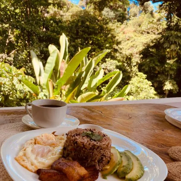 Hotel Boutique D Angelo, hotel en Manzanillo