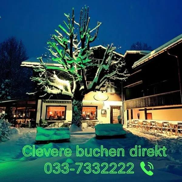 Tenne Lenk - Gasthof & Hotel, hotel en Lenk im Simmental