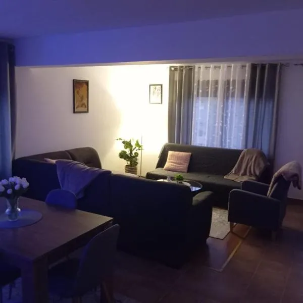 Studio apartman EMA、Brodski Varošのホテル