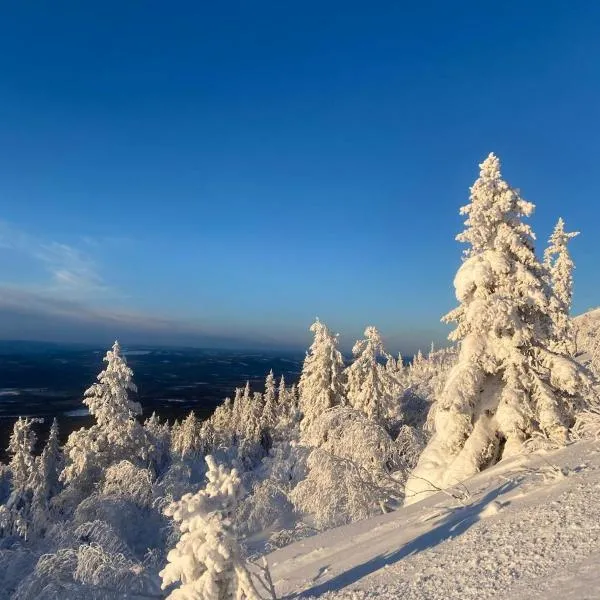 Högt upp på fjället!, hotel en Storhågna