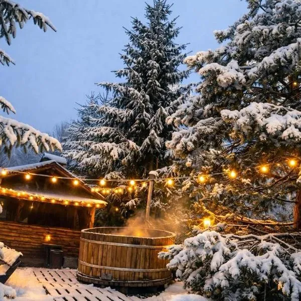 Casa Valasoaia, מלון בסאצ'לה