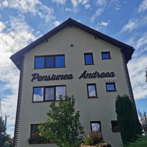 Pensiunea Andreea, hotel en Baia de Fier