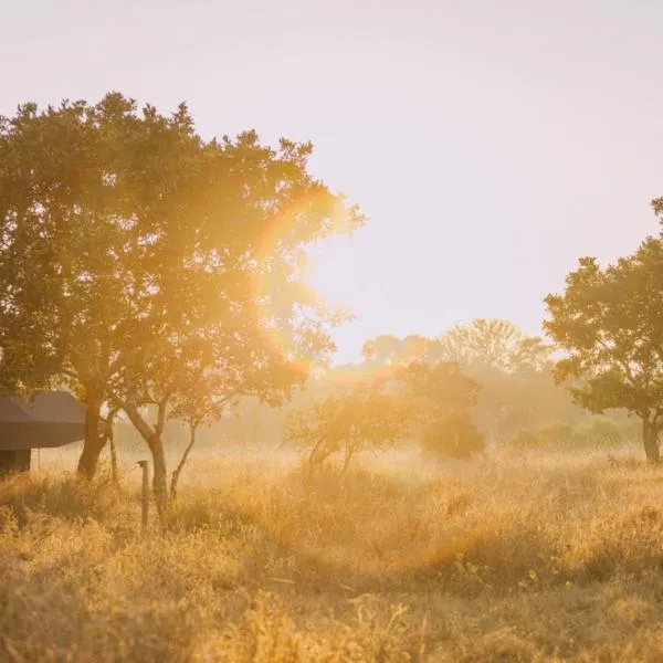 Kruger Untamed - Satara Plains Camp, khách sạn ở Die Brug