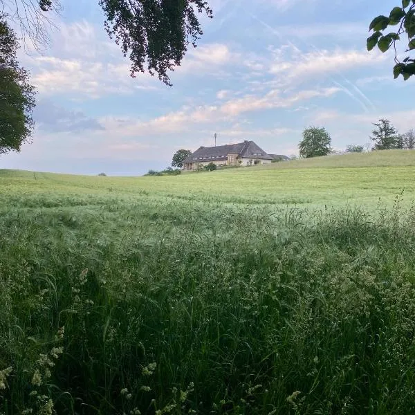 Rehmanns Hof, hotel in Essen