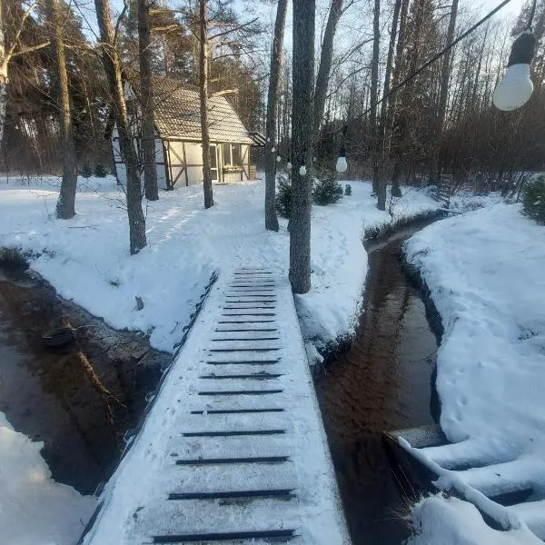 small house "Urgas" by the sea with 6 beds, viešbutis Plienciemyje