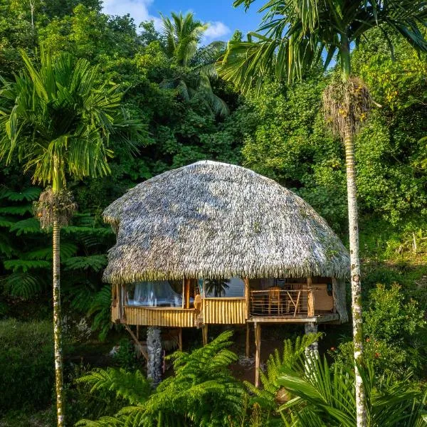 Vanira Lodge, hotel en Teahupoo
