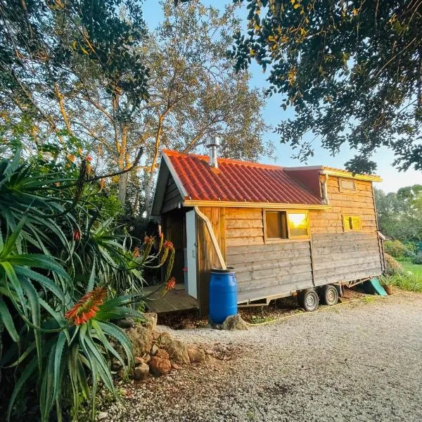 Tiny house glamping，Estevais的飯店