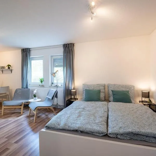 Studio Apartment University/Terrace (Ackermann), hotel u Dresdenu