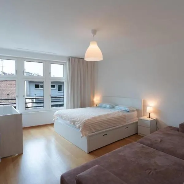 Penthouse with Rooftop Terrace Views, 2 BR, City Center, khách sạn ở Basel