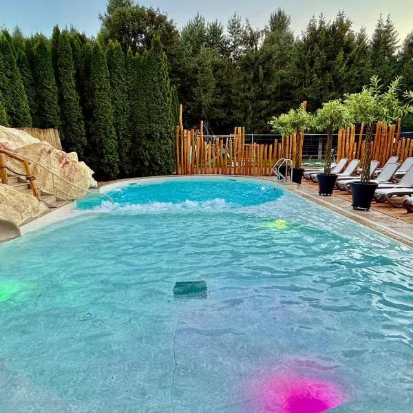 斯洛伐克拉吉辛格夫酒店，斯米札尼的飯店