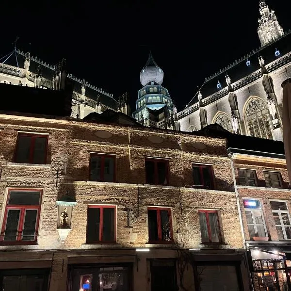 Het Kathedraalhuis Goudblomme, hotel a Anvers