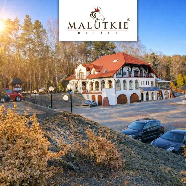 Malutkie Resort, hotel v mestu Radomsko