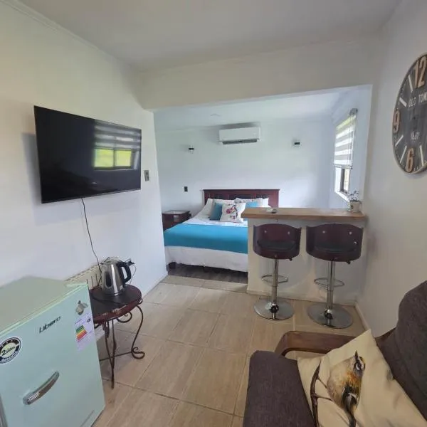 Departamento Estudio - acceso directo a carretera, viešbutis mieste Anchelesas