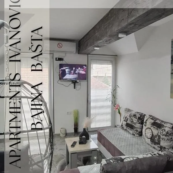 APARTMENTS IVANOViC CENTER CITY, hotel v destinaci Bajina Bašta