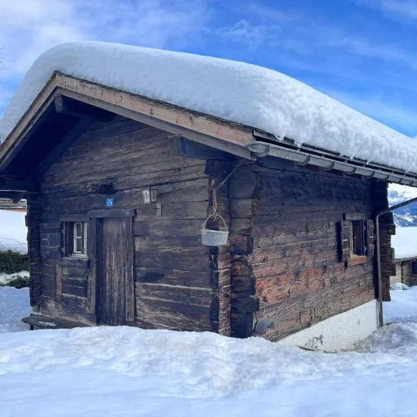 Chalet Le Petit Nid - Crans Montana、クランのホテル
