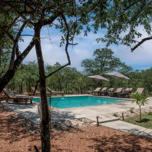Phalaborwa में, होटल Mad Safari Bush Camp