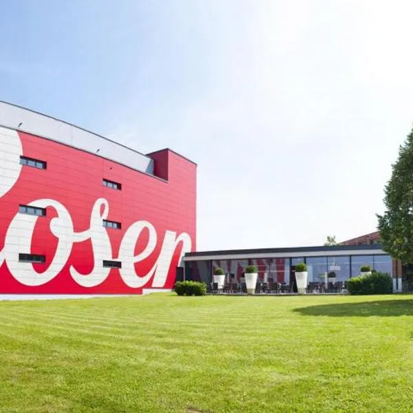 Rosenberger Motor-Hotel Ansfelden, hotel v Linci