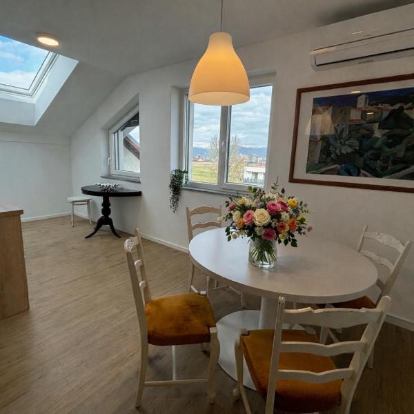 Apartmaji Čepon, Любляна