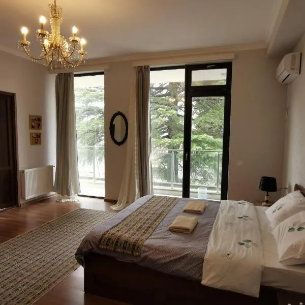 Hostel Rioni, hotel a Kutaisi