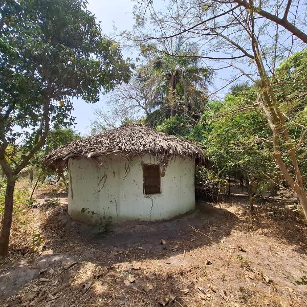Jallo Kurundingoto Eco Tourist Camp, Nyofelleh