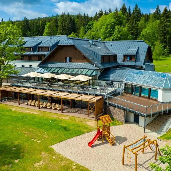 Deštné v Orlických horách में, होटल Amenity Hotel & Resort Orlické hory