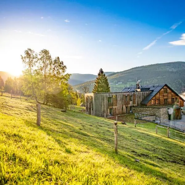 Amenity Hotel & Resort Špindlerův Mlýn, khách sạn ở Špindlerŭv Mlýn